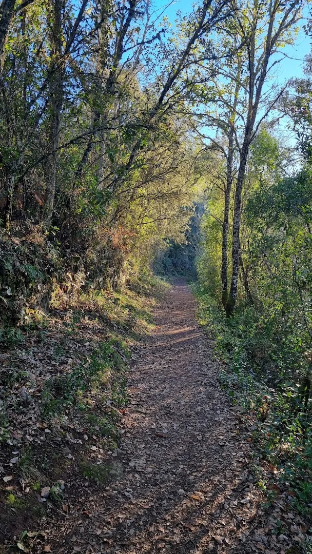 Sendero Castaño del Robledo - Galaroza (Ribera de Jabugo)