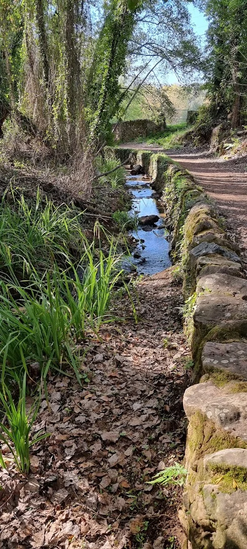Foto 4 de Sendero Castaño del Robledo - Galaroza (Ribera de Jabugo)