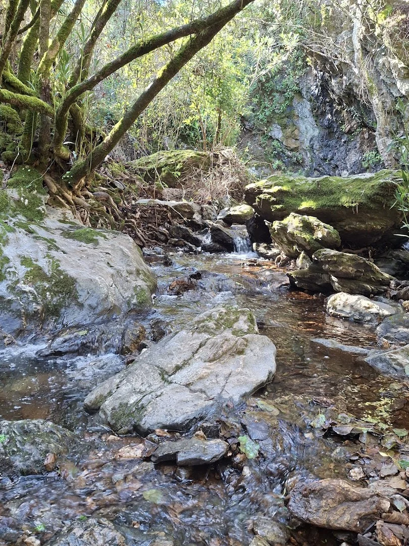 Foto 4 de Sendero Charco Malo
