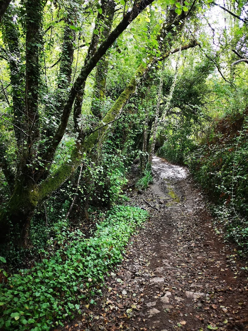 Sendero Circular Fuenteheridos a Castaño de Robledo