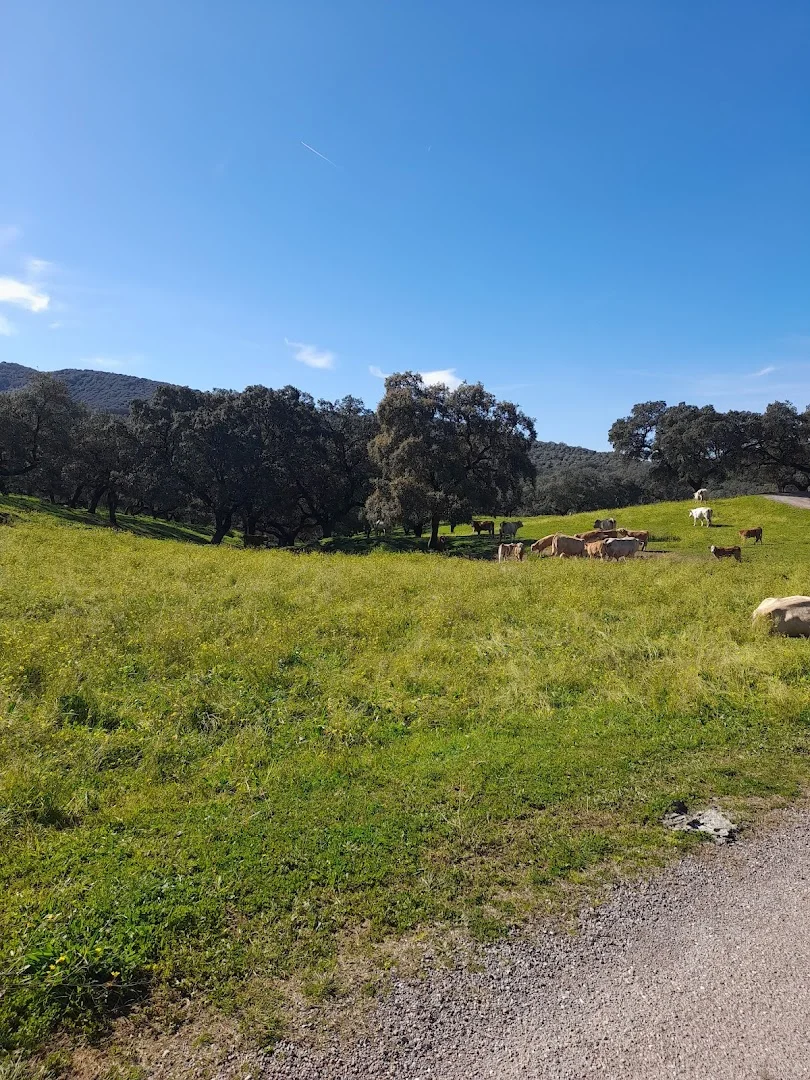 Sendero de Belén
