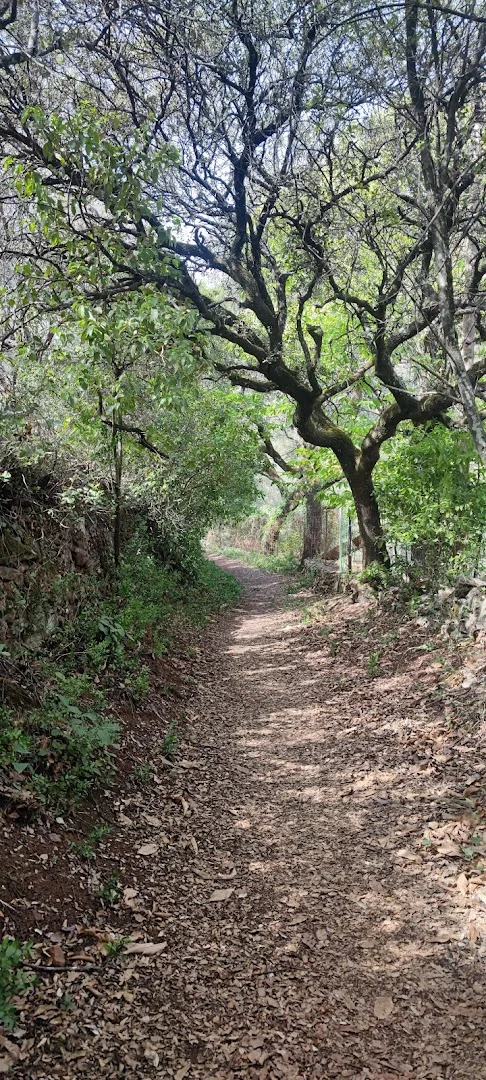 Sendero de la Molinilla