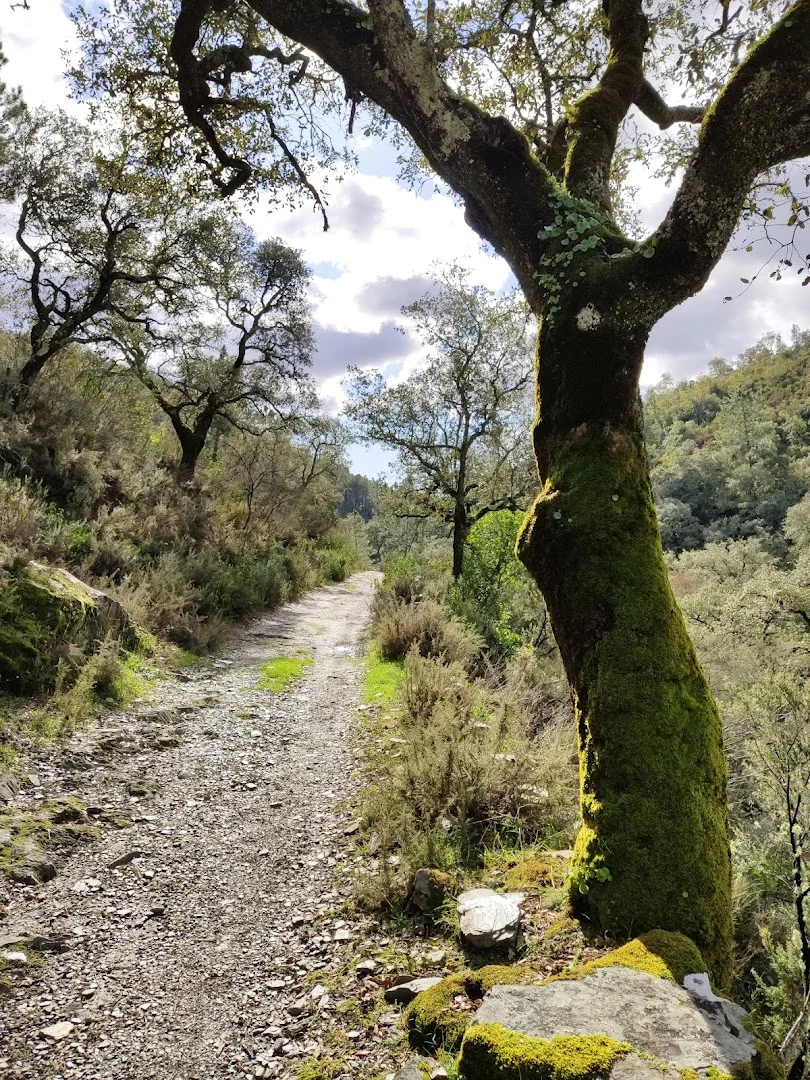 Sendero de los Molinos