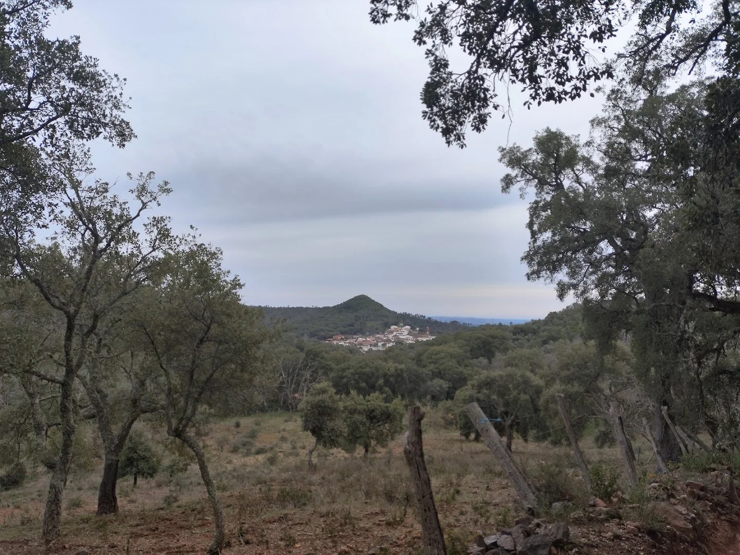 Sendero del Risco de Levante - Los Senderos Más Bonitos de España
