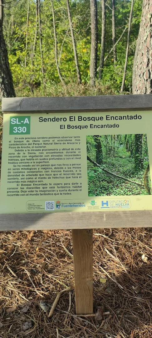 Foto 4 de Sendero El Bosque Encantado