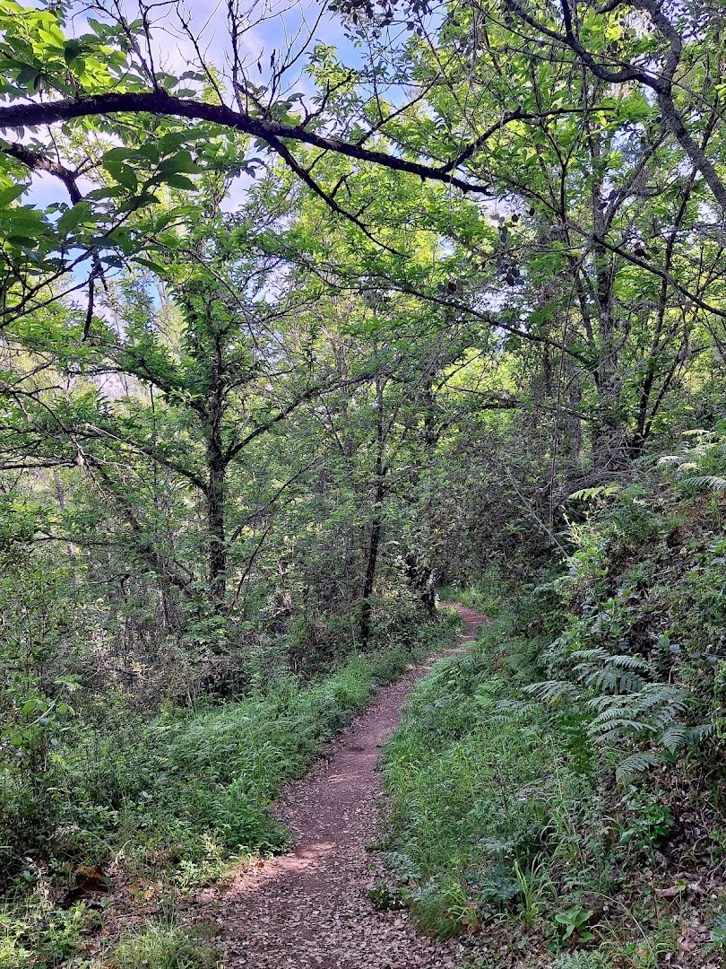 Sendero Galaroza - Castaño del Robledo