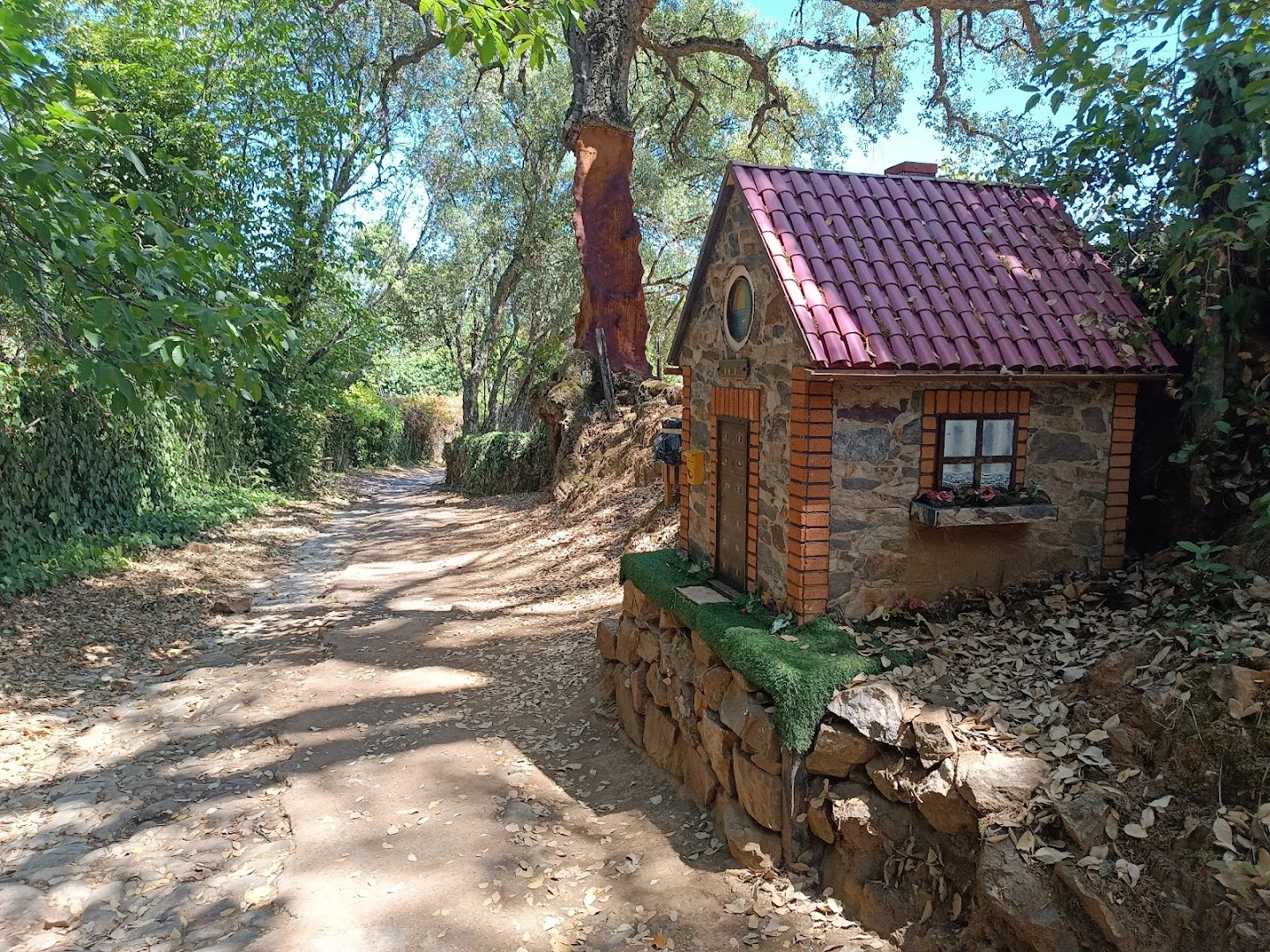 Foto 5 de Sendero Jabugo-Los Romeros-Cortegana