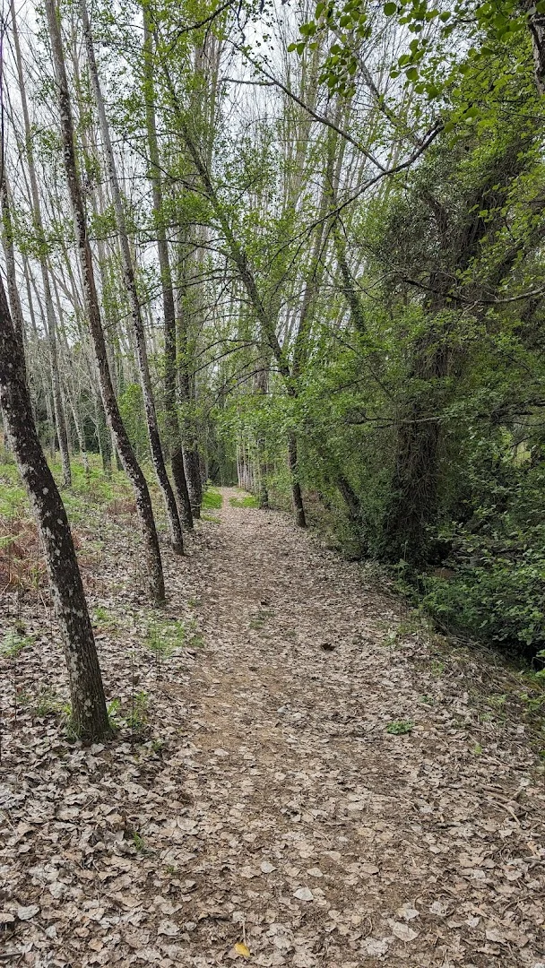 Sendero Los Romeros-Jabugo