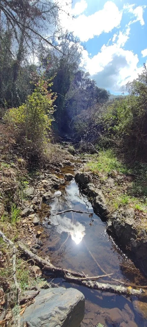 Foto 5 de Sendero Los Romeros-Jabugo