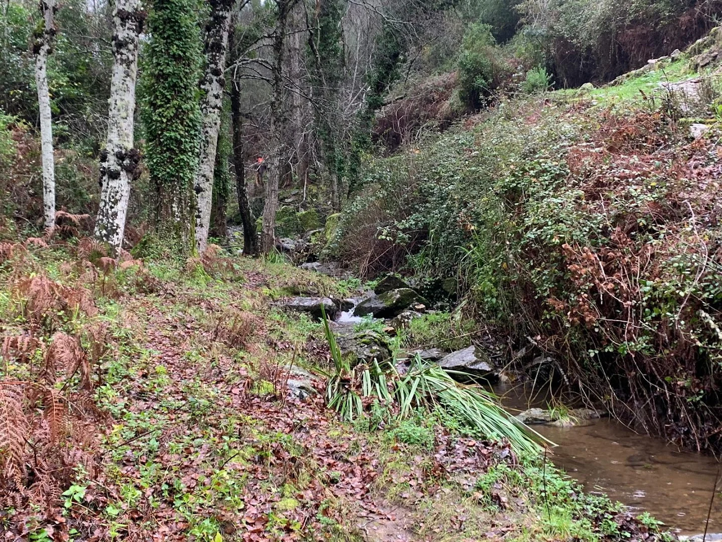 Sendero PR-A 3 Cortegana a La Nava