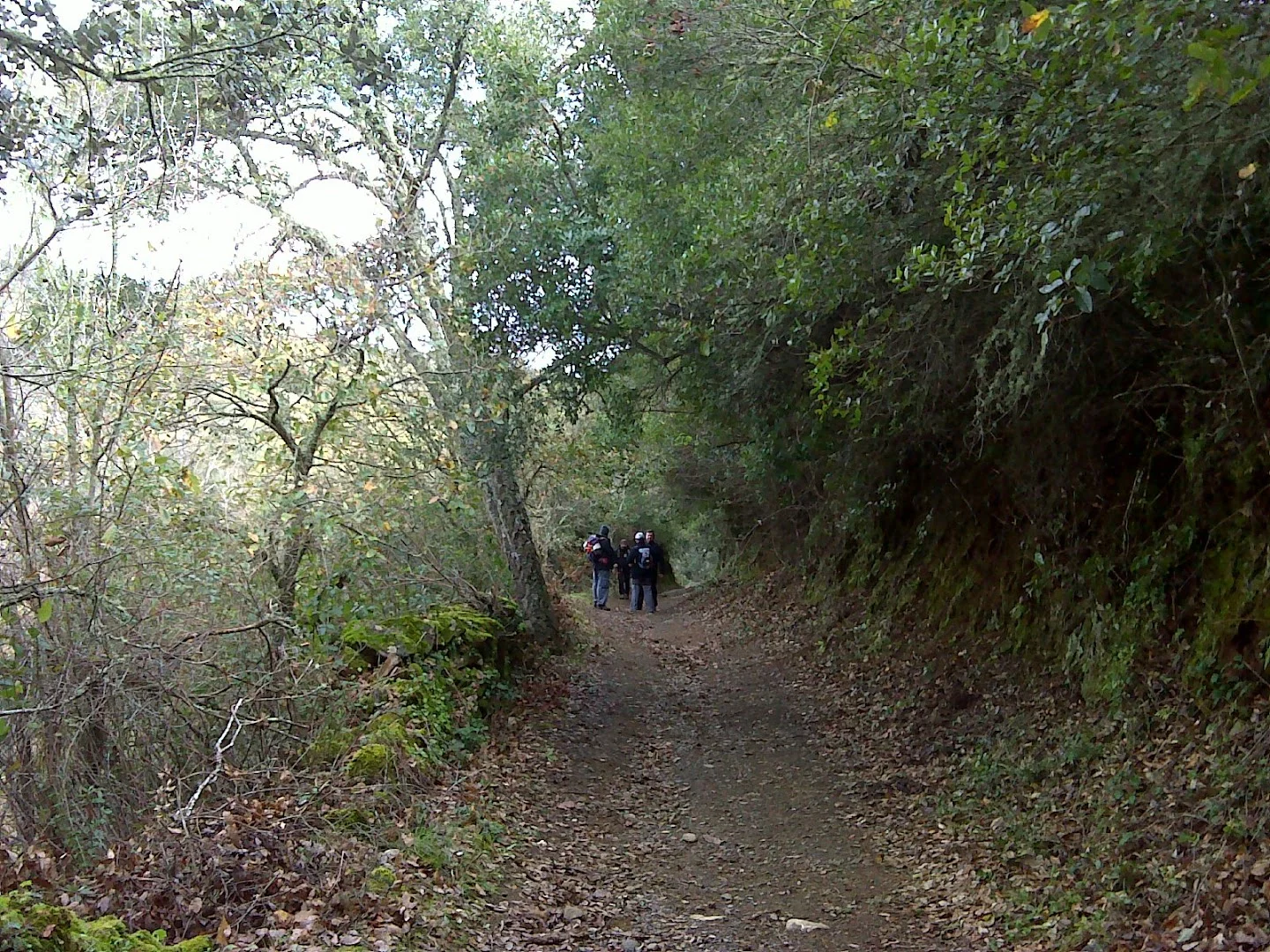 Foto 3 de Sendero PR-A 3 Cortegana a La Nava