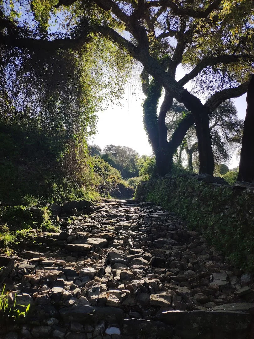 Sendero PR-A 5 Cortegana-Almonaster la Real