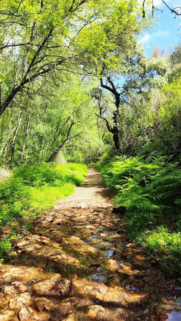 Sendero Valdelarco Cortelazor