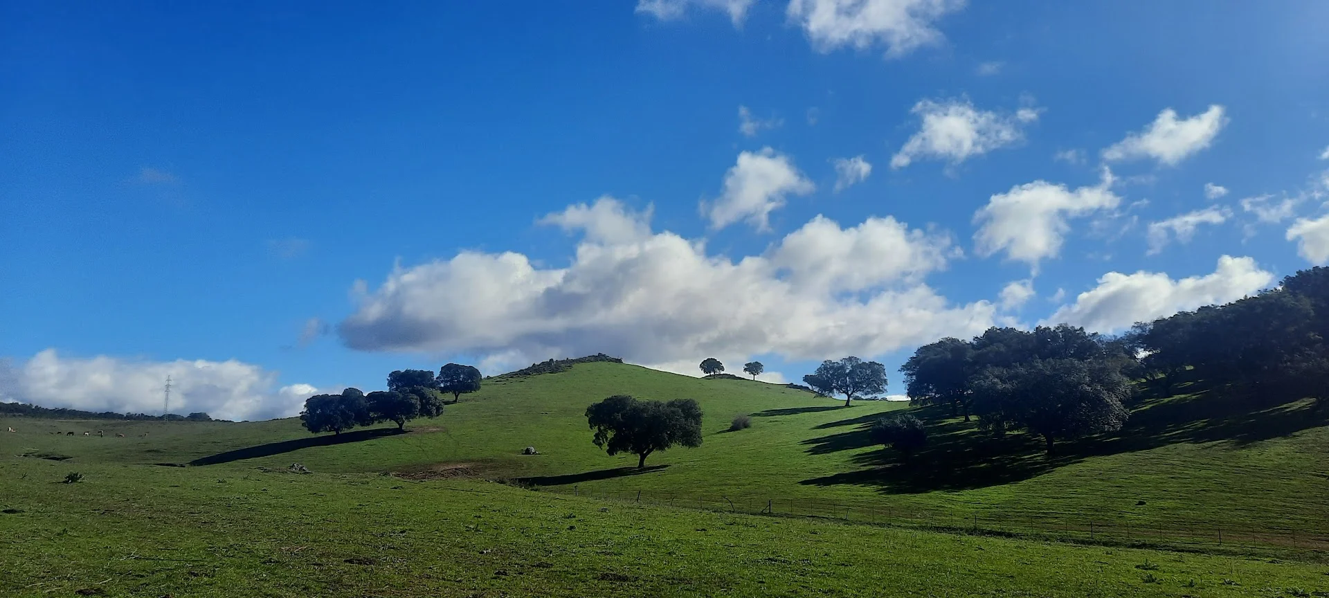Sendero Valdezufre-La Umbría