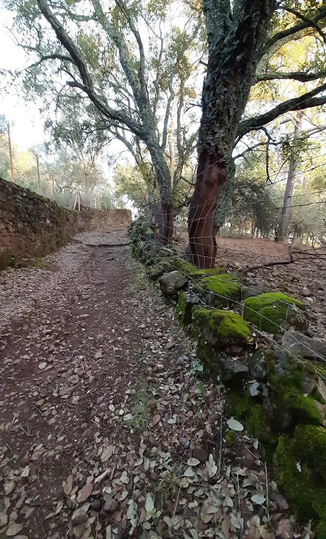 Foto 5 de Senderos a Aracena
