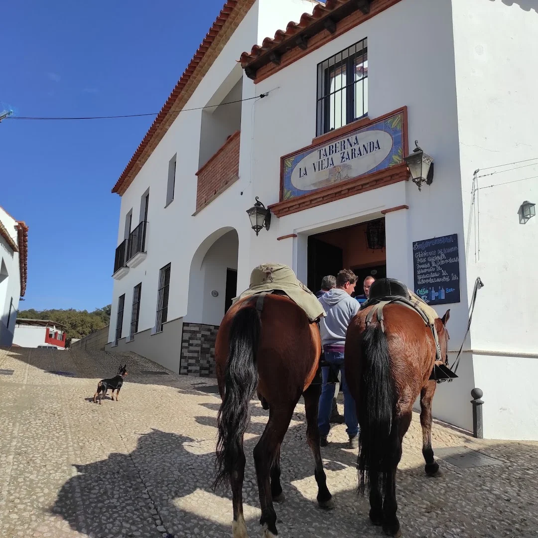 Foto 5 de Taberna La Vieja Zaranda