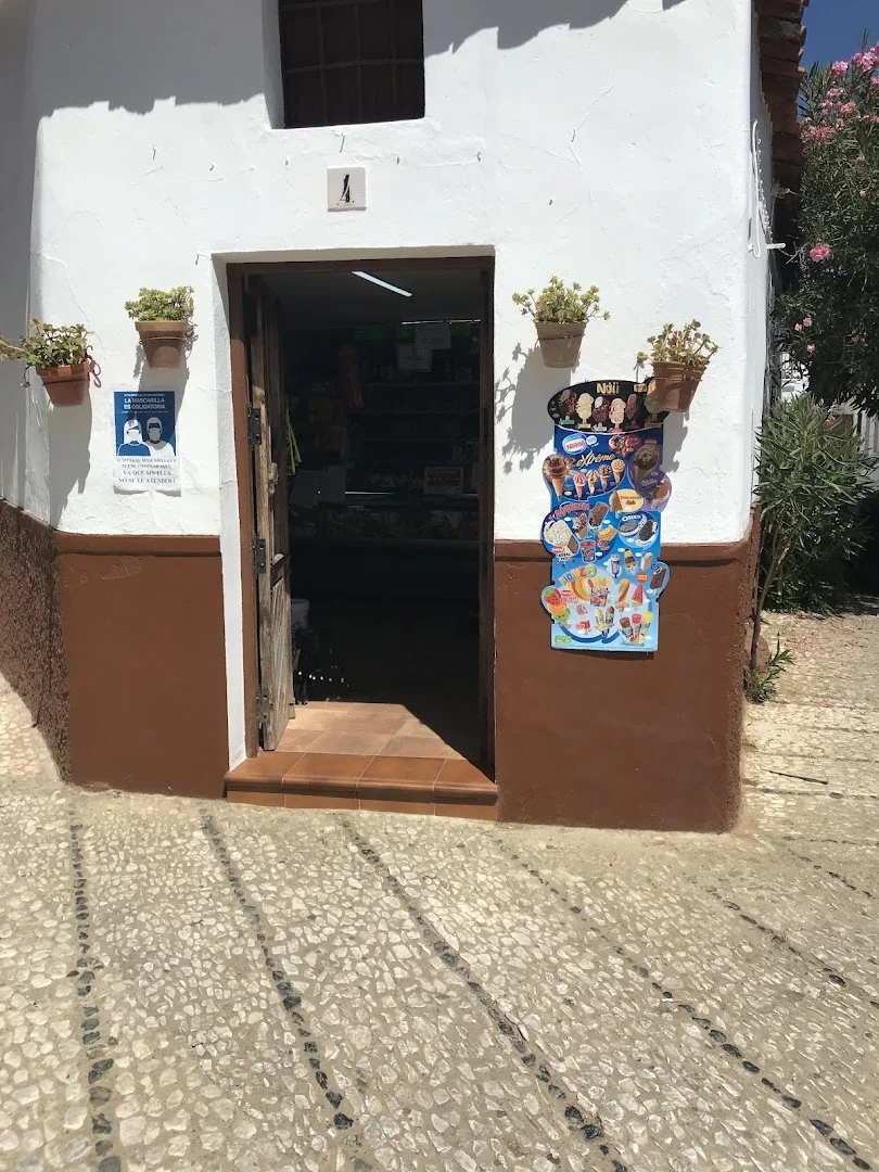 Tienda Alba (donde Comprar Pan de Horno de Leña delicioso)