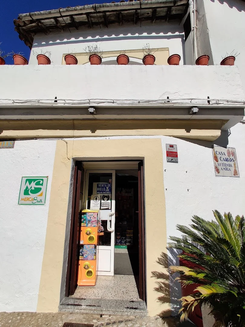 Tienda de Carlos
