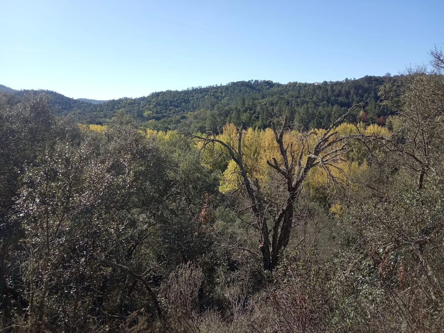 Foto 4 de Tierras del Múrtiga