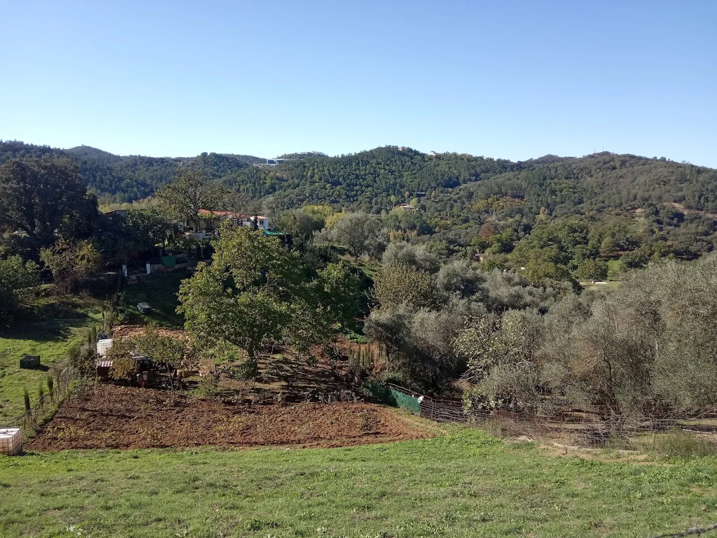 Foto 5 de Tierras del Múrtiga
