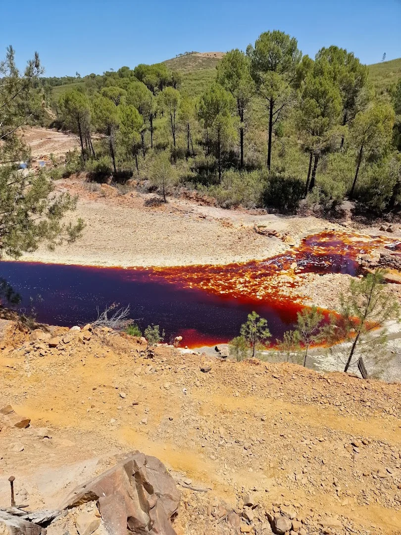 Tren Minas de Rio Tinto