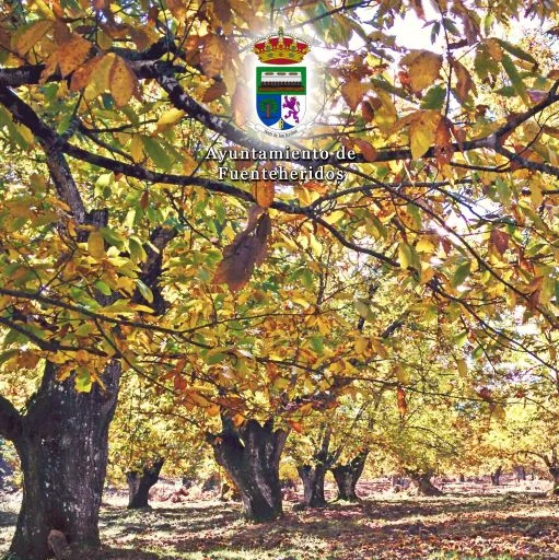 Foto 5 de Turismo de Fuenteheridos