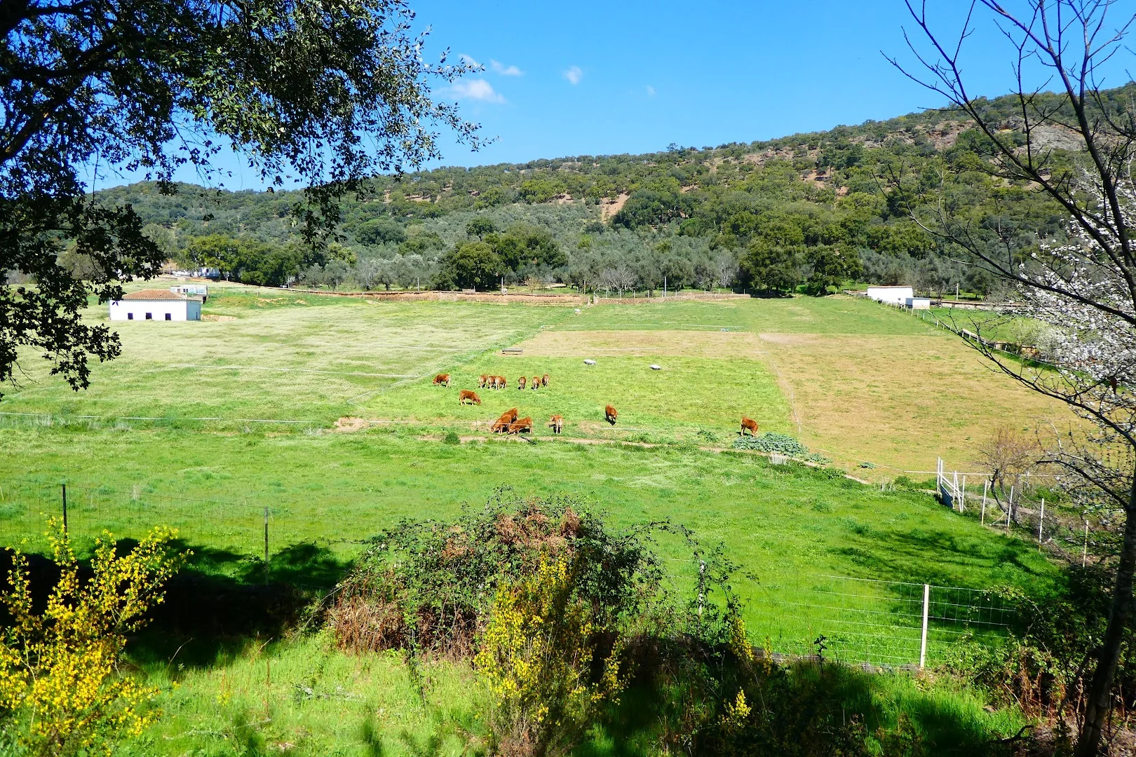 Foto 5 de ValdelArte