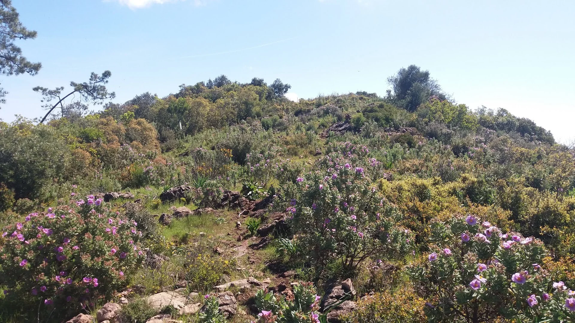 Foto 4 de Vértice Geodésico Sierra de Linares ( Pico La Era )