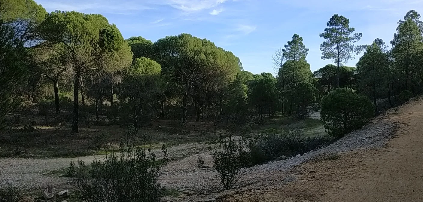 Vía Verde