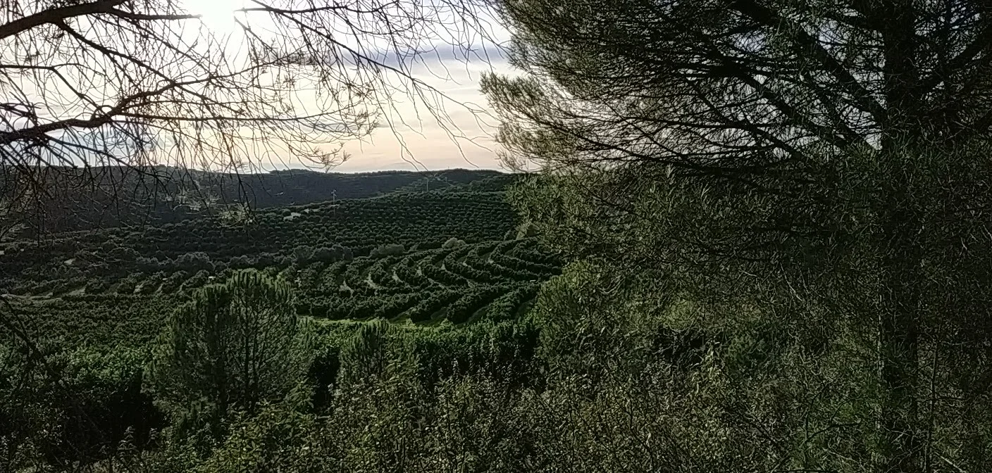 Foto 3 de Vía Verde