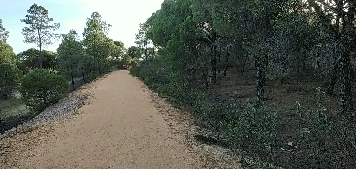 Foto 4 de Vía Verde