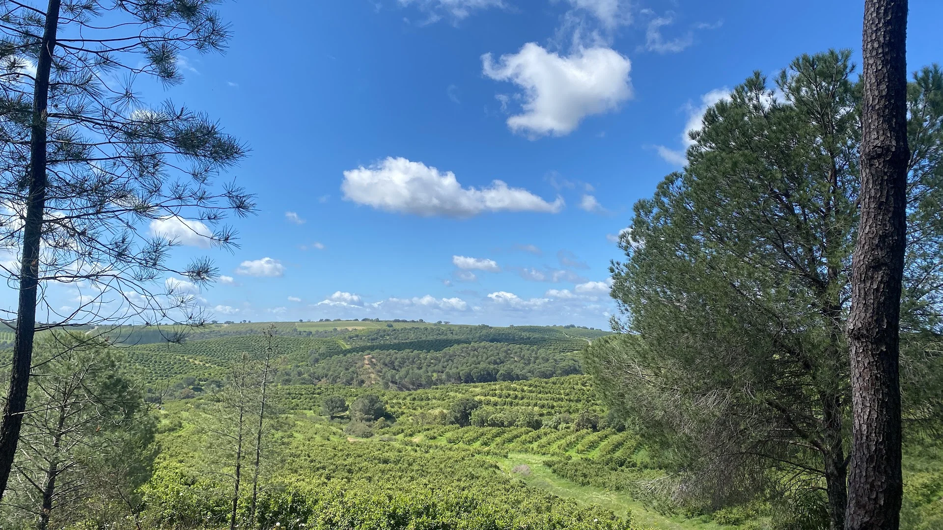 Foto 5 de Vía Verde