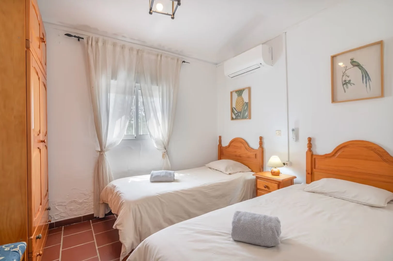 Foto 4 de Vivienda Rural la Blanca de Aroche (Nueva Reforma Octubre 2025)