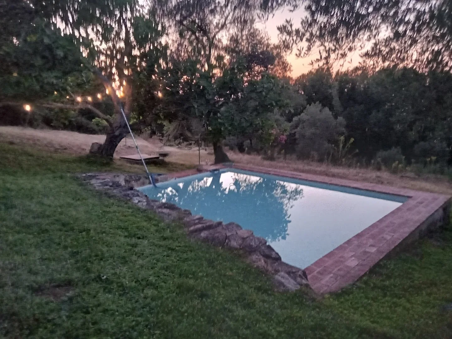 Foto 5 de Vivienda Rural Olivar del Chanza