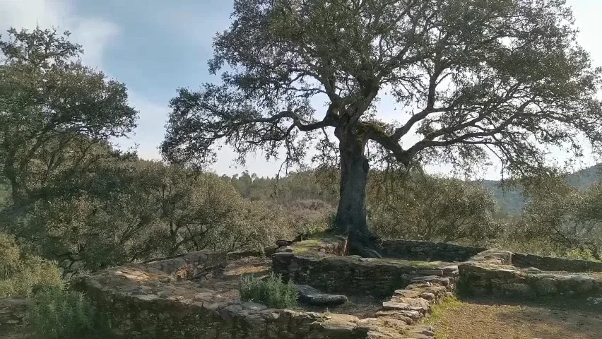 Foto 3 de Yacimiento el Castañuelo