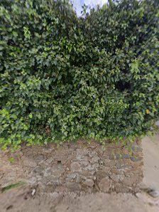 thumbnailpanoid3UQGYdUJtsvKn0c9Q2hqTwcb_clientmaps_sv.tactile.gpsw224h298yaw123.16943pitch0thumbfov100.jpeg