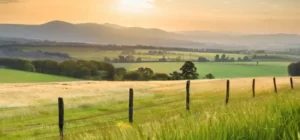 Un campo verde y pacífico con un cielo claro y una vista infinita de la naturaleza en perfecto equilibrio