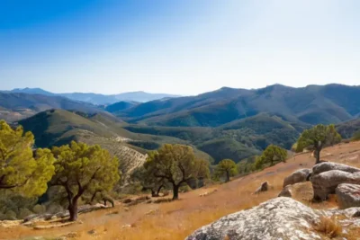 La sierra de Aracena consiste en colinas abruptas cubiertas de robustos encinares estrechos y rocas graníticas