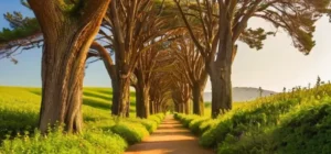 Un camino de piedra gris claro sube empinadamente entre cipreses verdes y un arco de piedra decora el paisaje rodeado de prados con flores multicolores