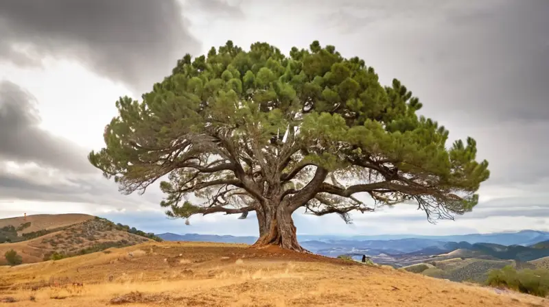 Una montaña de piedra caliza impresionante se eleva 1.800 metros en el paisaje rural de Sierra de Aracena, con una superficie rugosa y erosionada