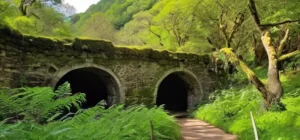 La naturaleza profunda y misteriosa de este hermosos paisaje selvático está dominada por árboles venerables