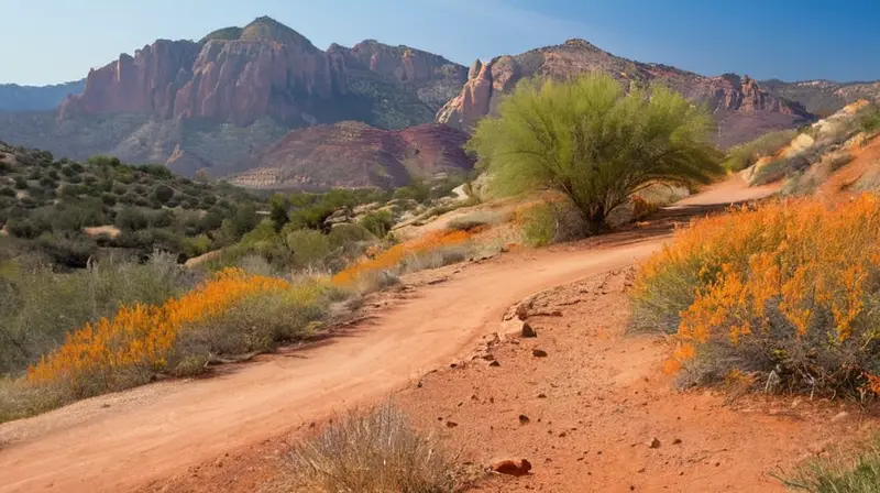 Un grupo de atletas corre por un sendero de rocas con vistas paisajistas a las colinas y formaciones rocosas