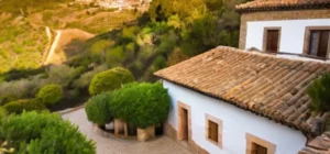 El escenario es una pintoresca aldea mediterránea con casas de terracota y tejados cubiertos de musgo en un paisaje ondulado