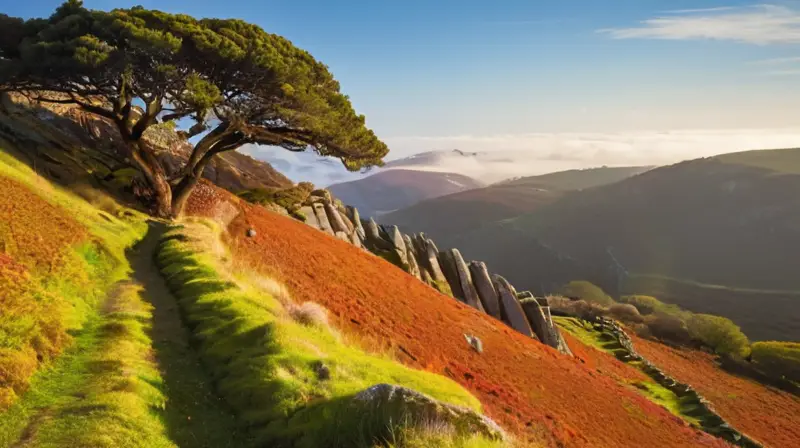 La región se caracteriza por paisajes únicos con montañas graníticas, colinas cubiertas de olivos y arboledas bajo una luz suave